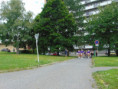 /album/fotogalerie-pout-k-svate-klare-2025-pruvod-mazoretek/dsc00178-jpg1/